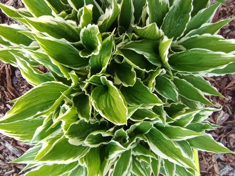 IMG 20200510 093407 mini