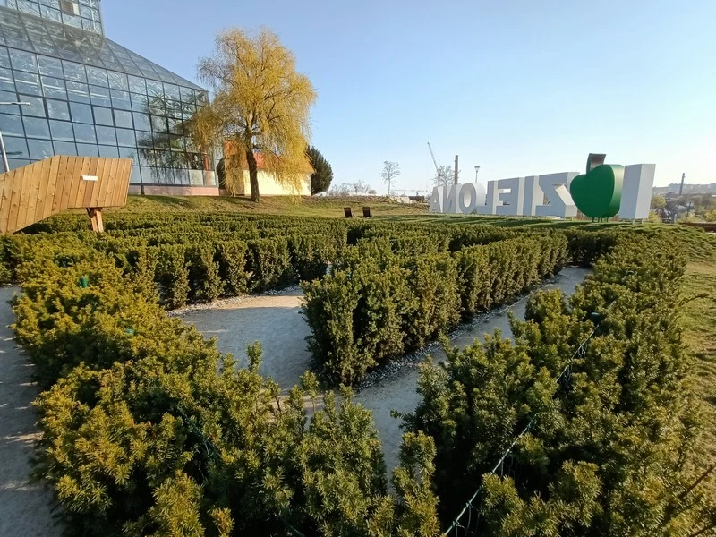 IMG20200422175938 mini