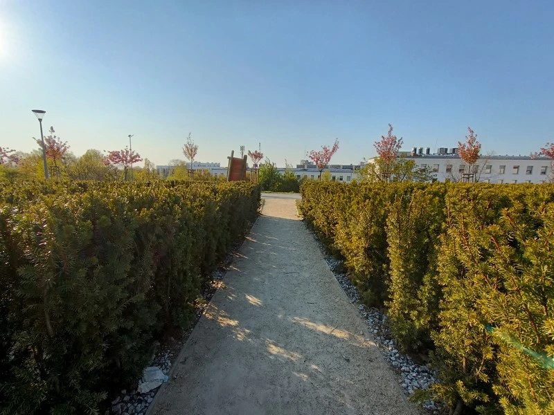 IMG20200422180021 mini