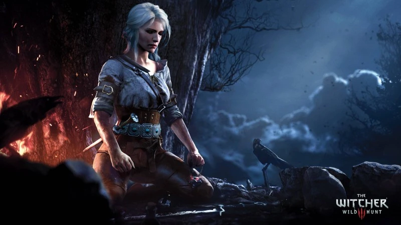 ciri wiedzmin 4