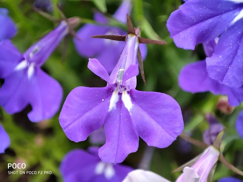 IMG 20200602 130434 11