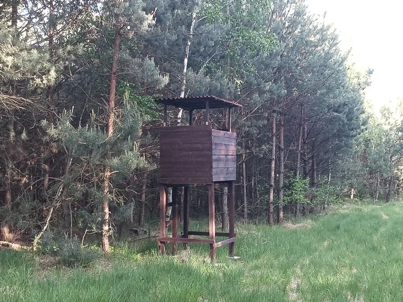 IMG 20200603 183521 mini