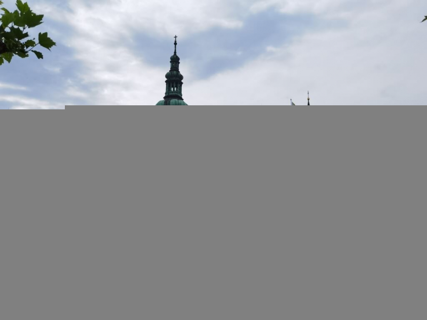 IMG 20200611 172753 Średni