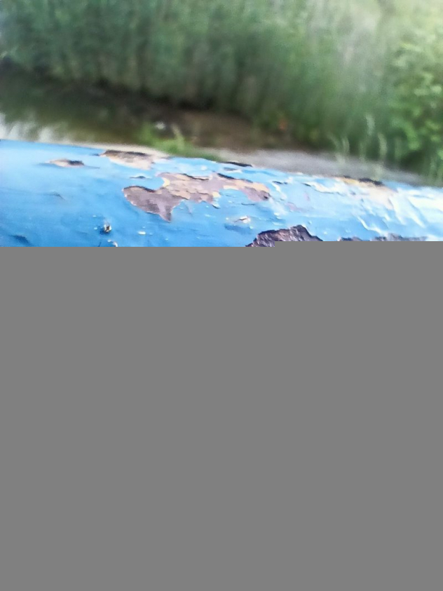 IMG20200623202331 mini