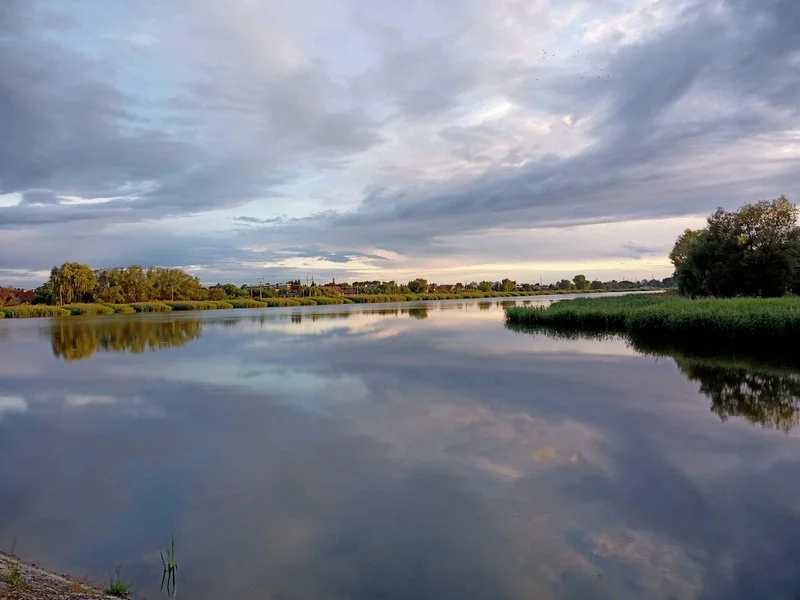 IMG20200623202557 mini