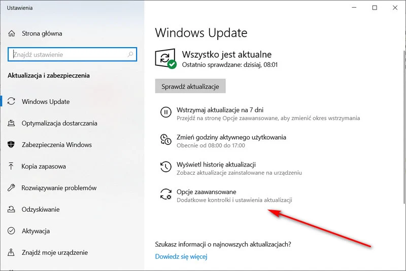Ustawienia Windows Update
