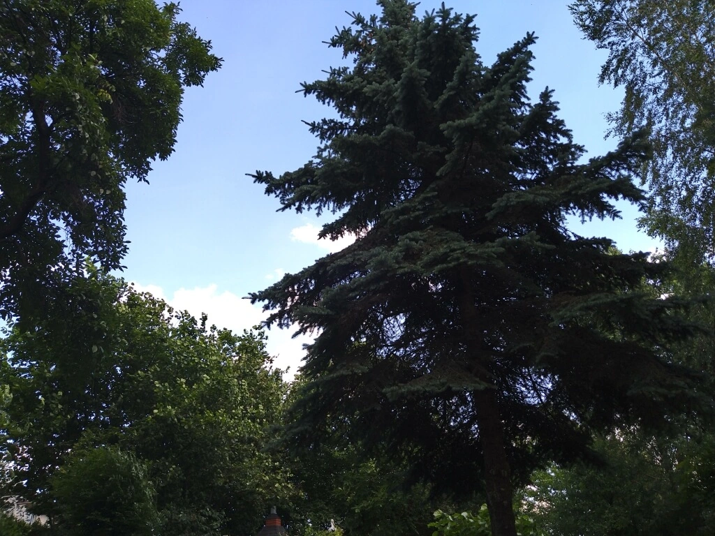 SonyXperia10MarkII 0005 Średni