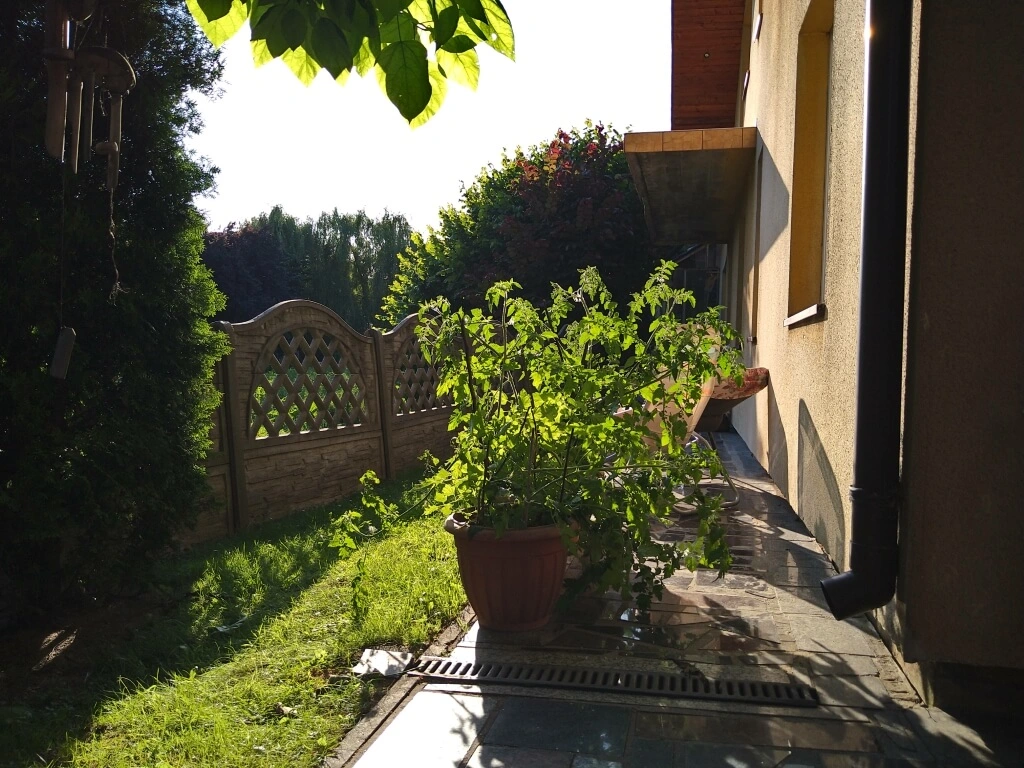 SonyXperia10MarkII 0006 Średni