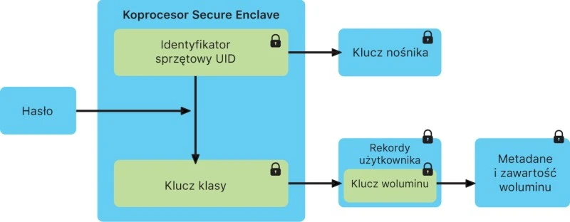 Procesor Secure Enclave