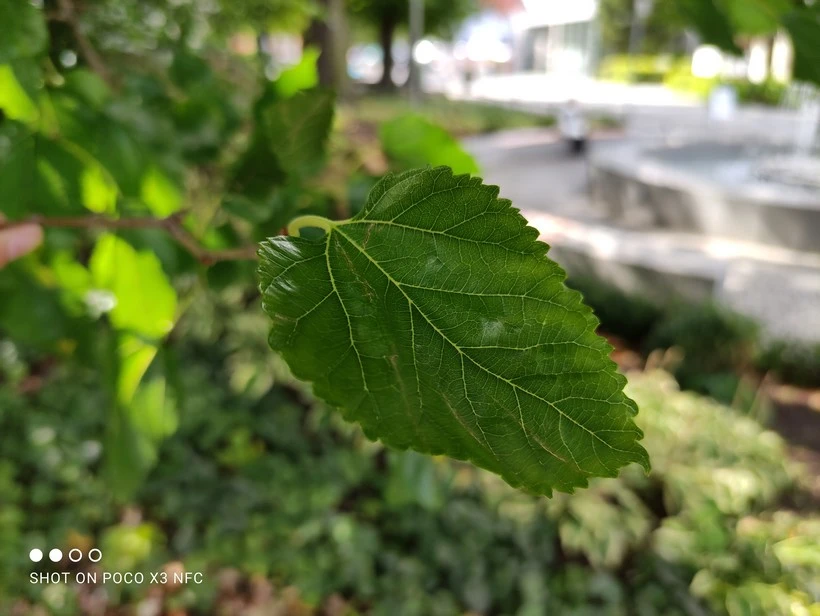 IMG 20200907 134735 mini