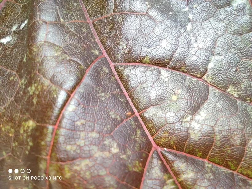 IMG 20200907 135823 mini