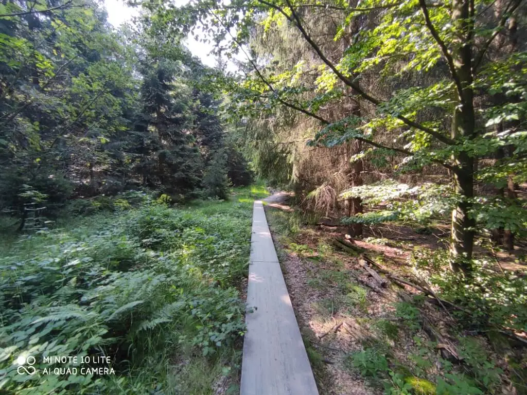 xiaomi mi 10 note lite20200809 104536 Średni przykladowe zdjecia