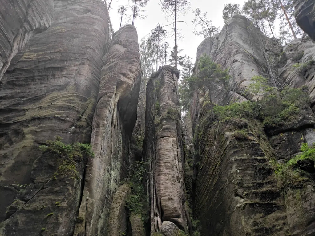 xiaomi mi 10 note lite20200810 152200 Średni przykladowe zdjecia