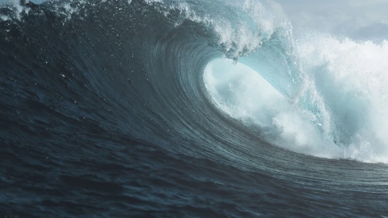 tapeta Microsoft surface hub 2s 2