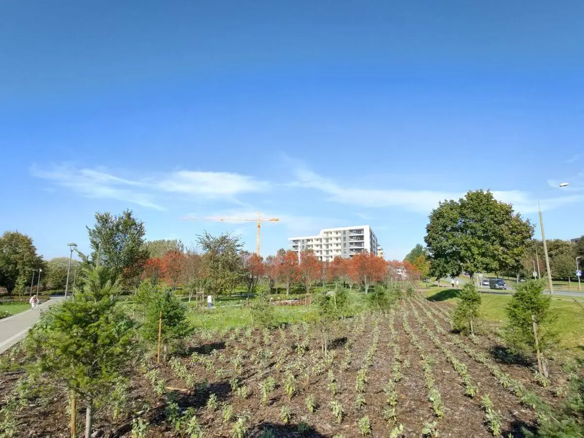 OPPO Reno4 Pro test recenzja sample