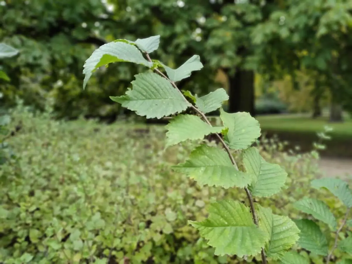 realme 7 pro recenzja test