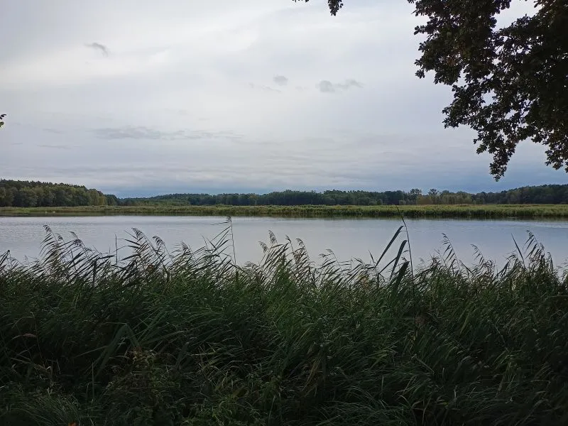 IMG20200927171632 00