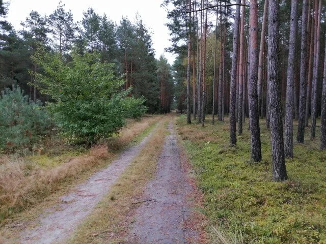 sample p smart 20201018 170304