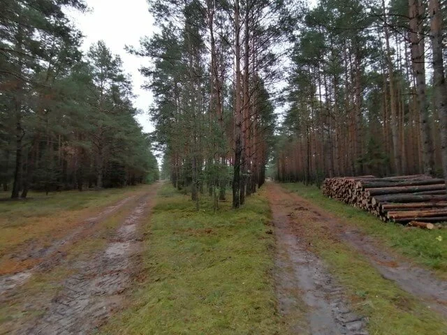 sample p smart 20201018 170441