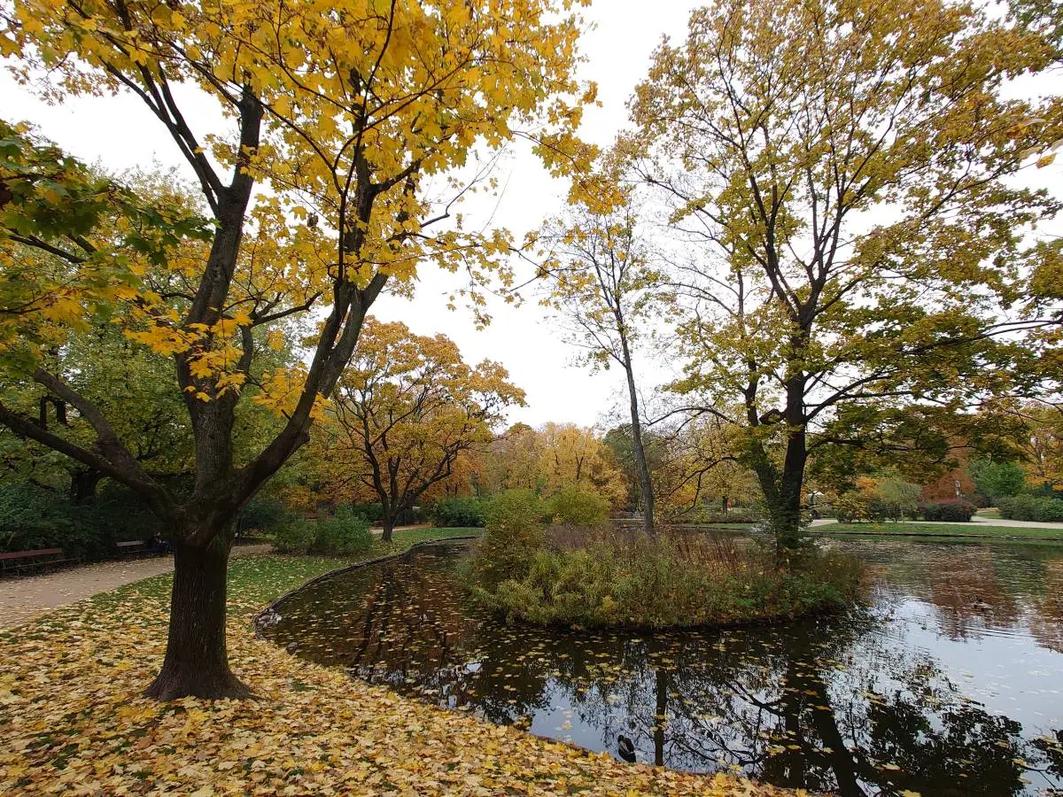 Sony Xperia 5 II recenzja test