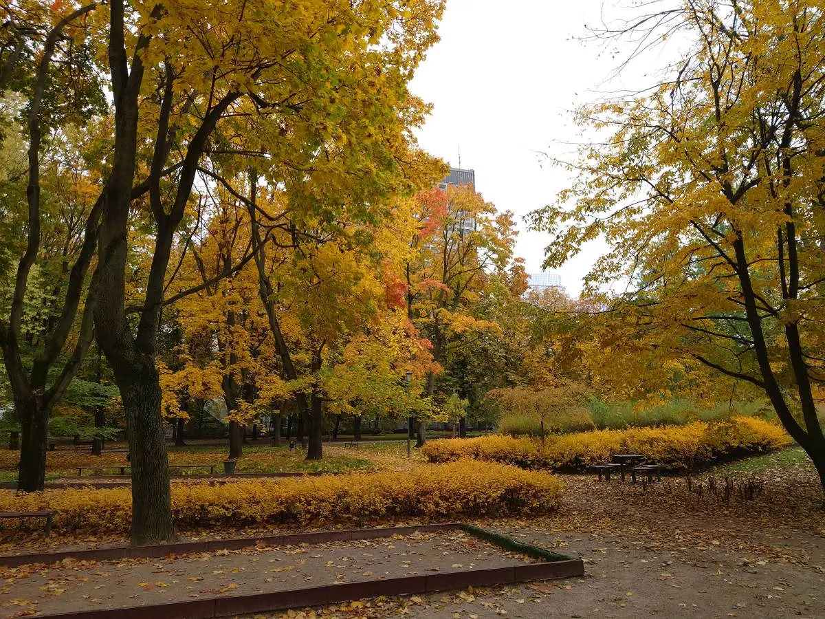 Sony Xperia 5 II recenzja test