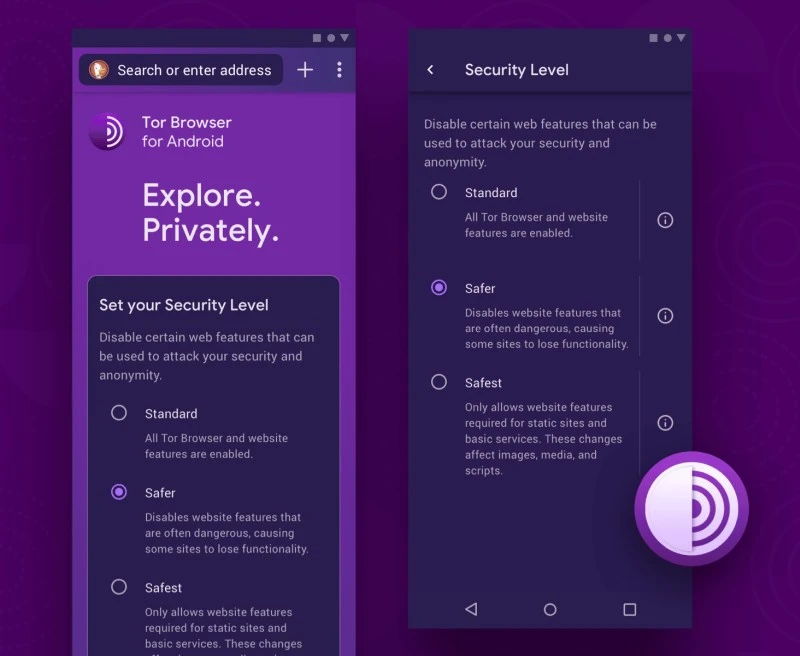 Tor browser 10 1
