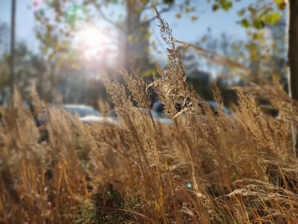 OPPO Reno4 recenzja test