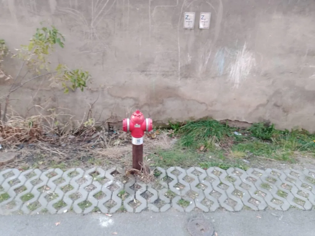 test smartfona cubot c30 20201118 150358 Sredni