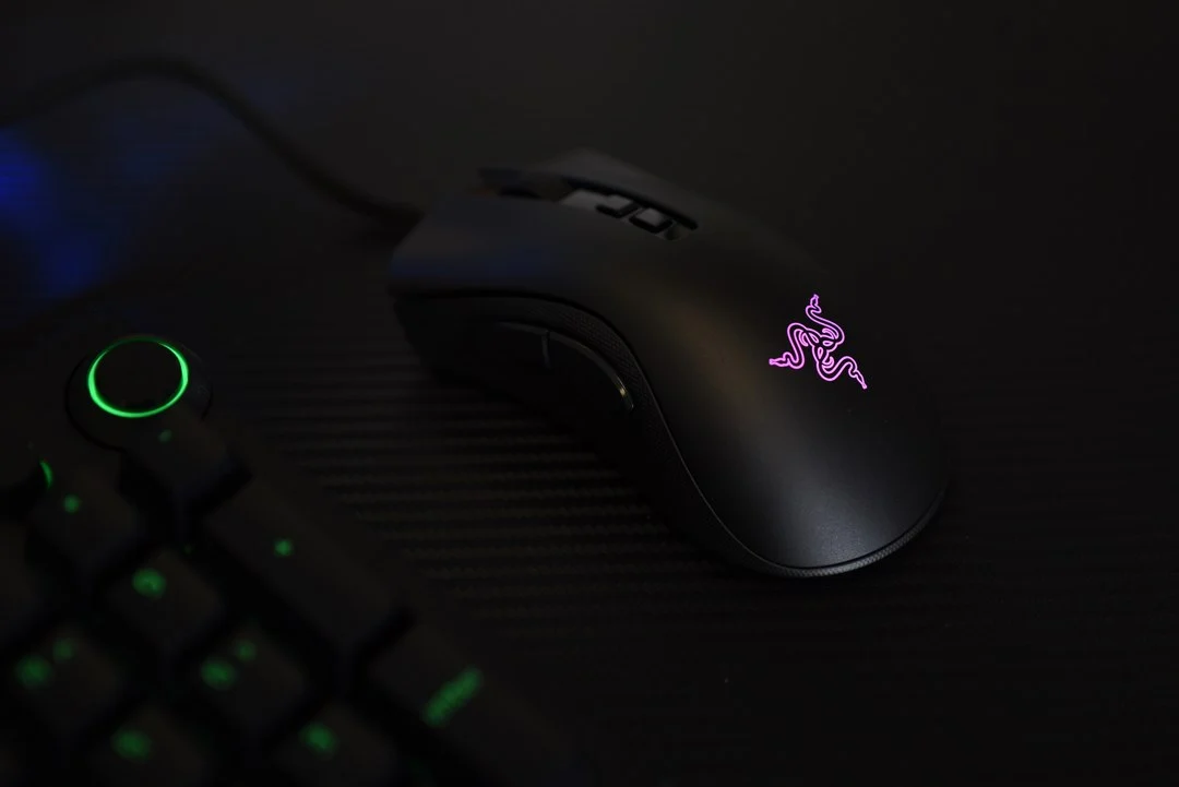 Razer DeathAdder V2 Pro 10