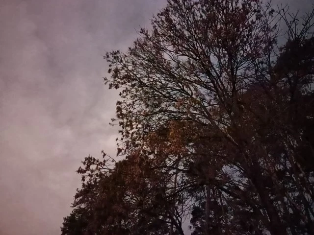 Poradnik foto20201128185659