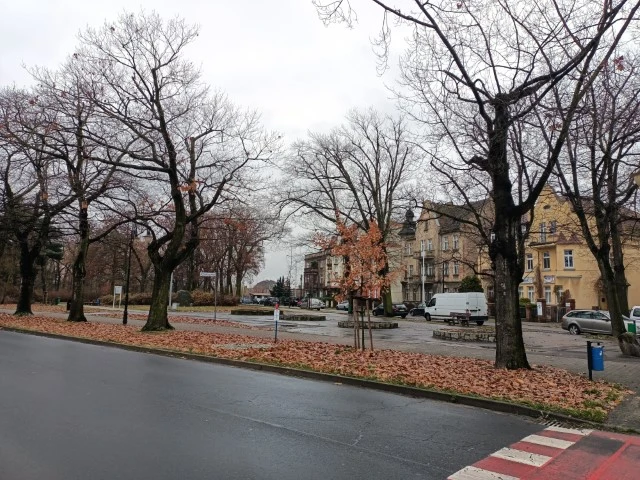 Poradnik foto20201129130639