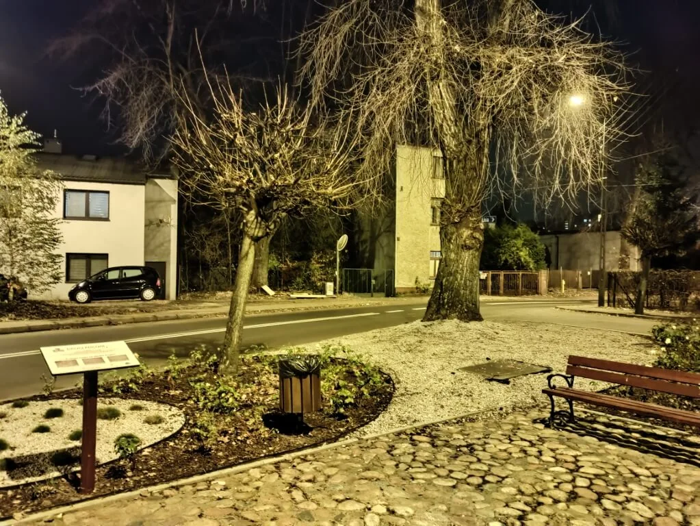 IMG 20201125 185338 Średni