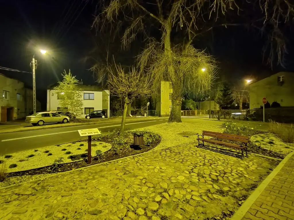 IMG 20201125 185347 Średni