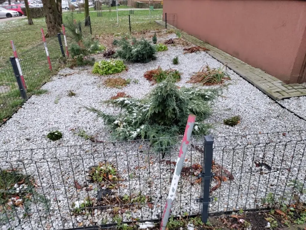 IMG 20201130 131229 Średni