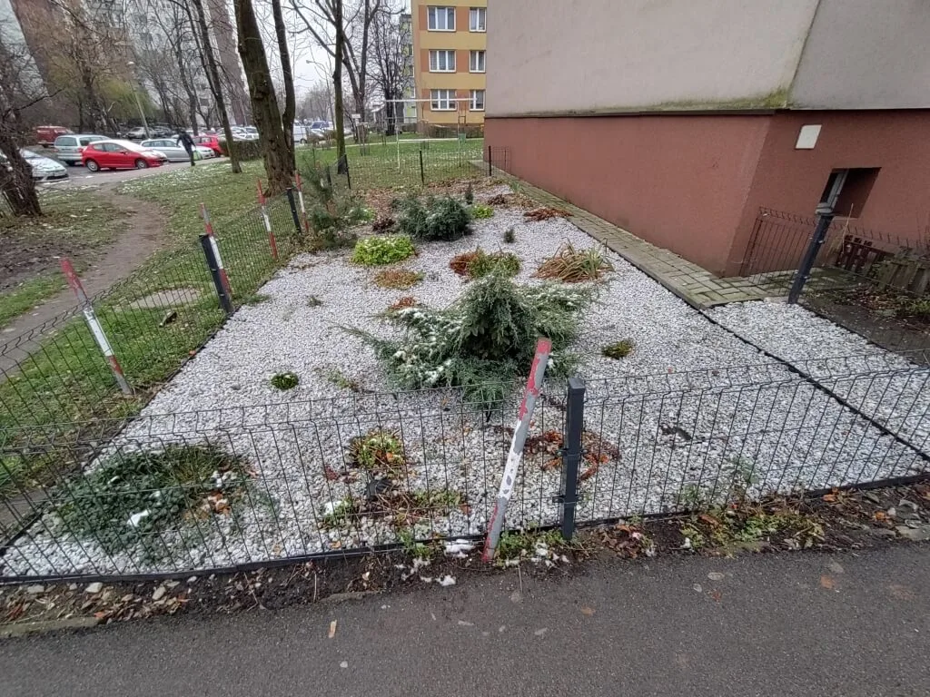 IMG 20201130 131232 Średni