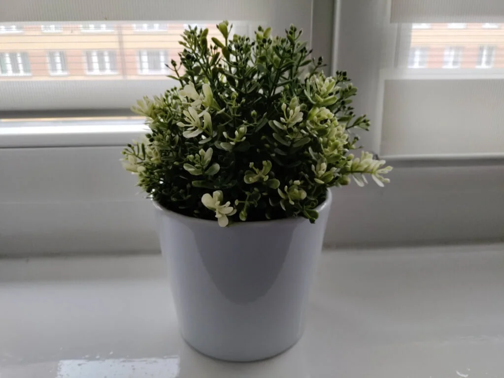 IMG 20201130 132943 Średni