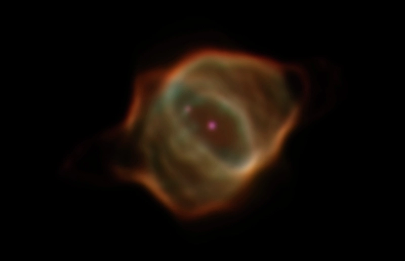 mglawica-plaszczki-2