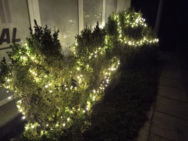 Noc 20201219 185030 1