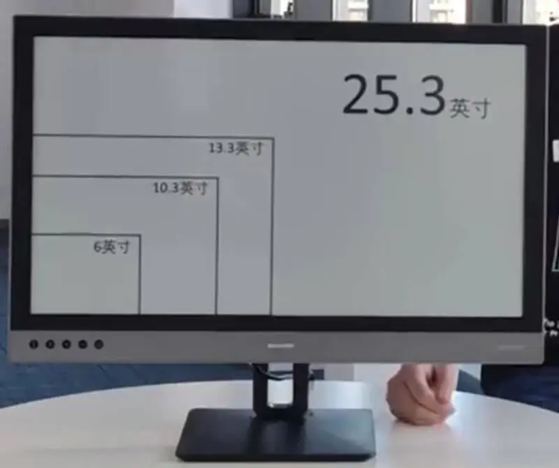 Dasung Paperlike 253