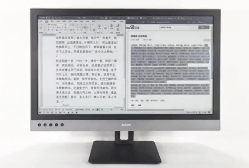 Dasung Paperlike 253