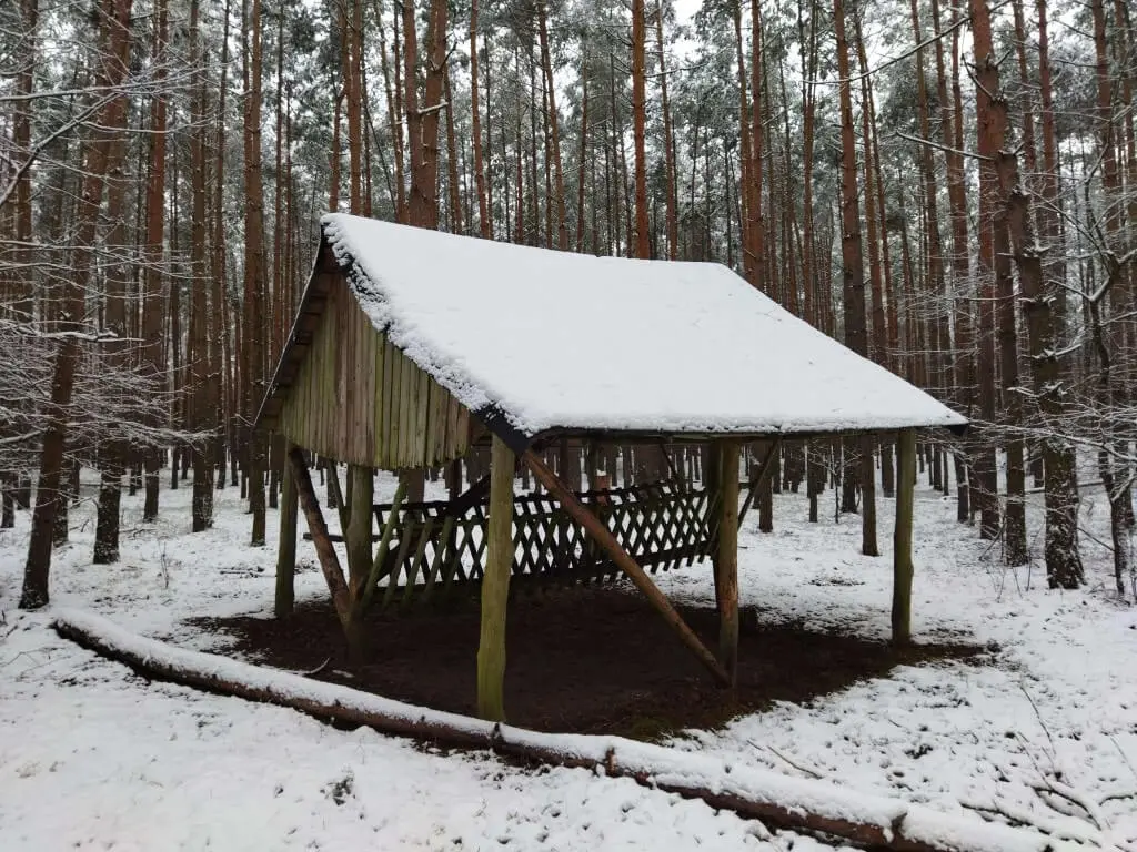 POCOM3 20210114 144134