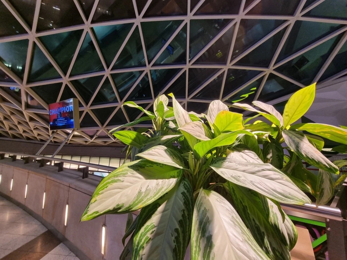 Samsung Galaxy S21 sample