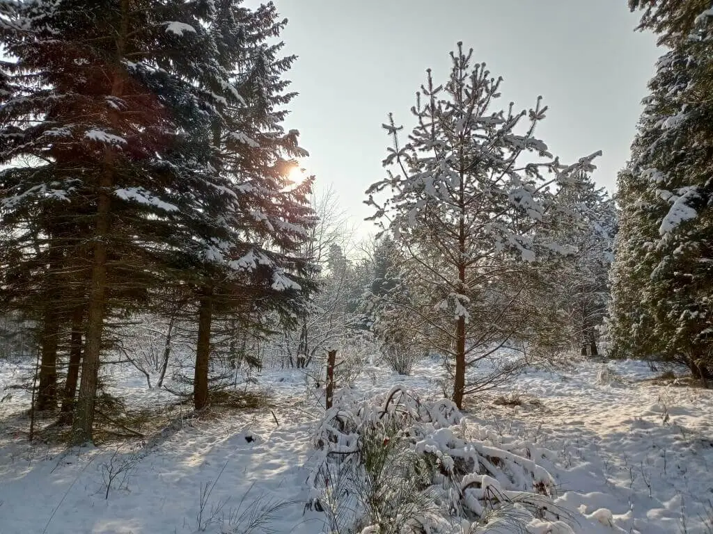 Realme 7ifoto20210117114253