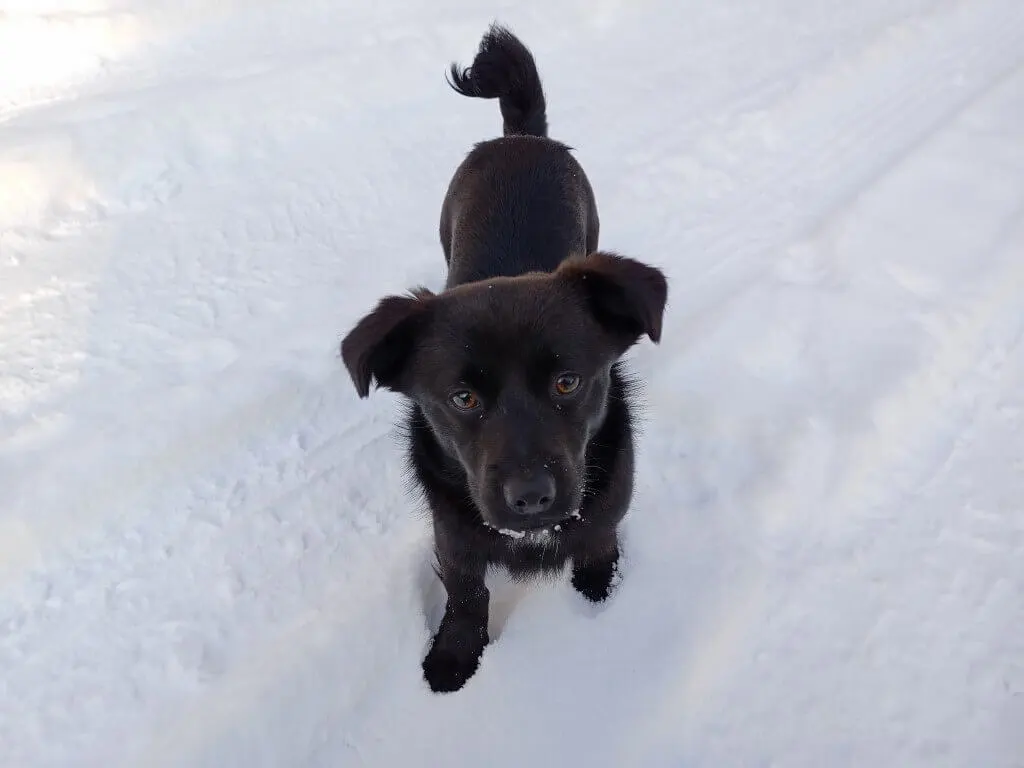 Realme 7ifoto20210117114439