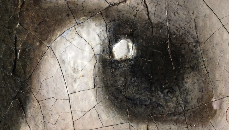 dziewczyna-z-perla-1