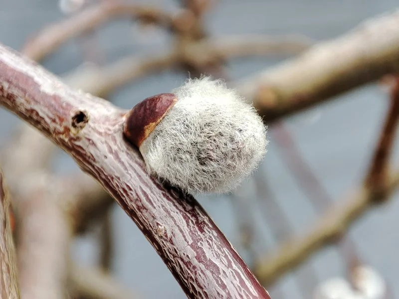 IMG 20210306 155437 mini