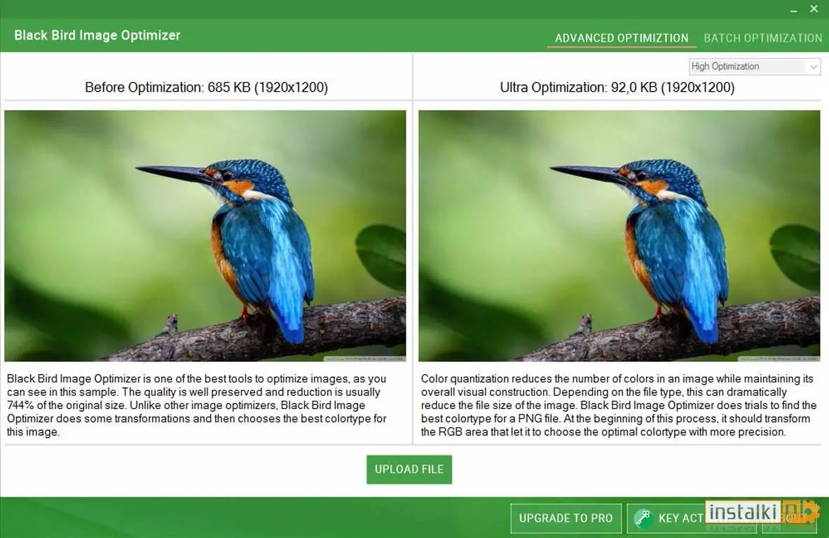 Okladka Black Bird Image Optimizer