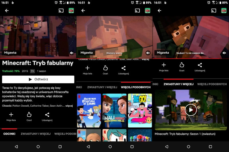 Netflix Minecraft