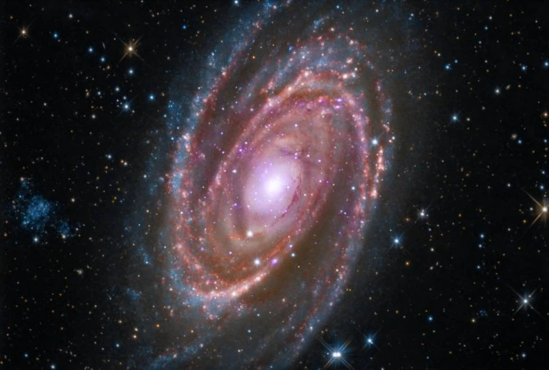 m81