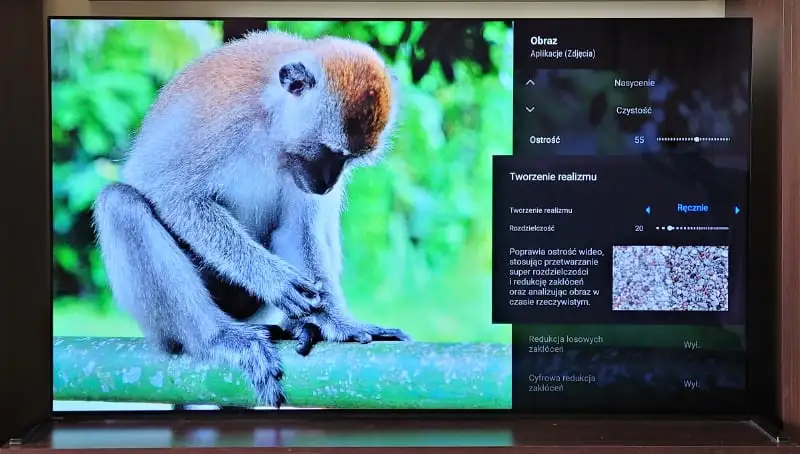 Sony OLED 65” A90J – japoński samuraj kategorii Master